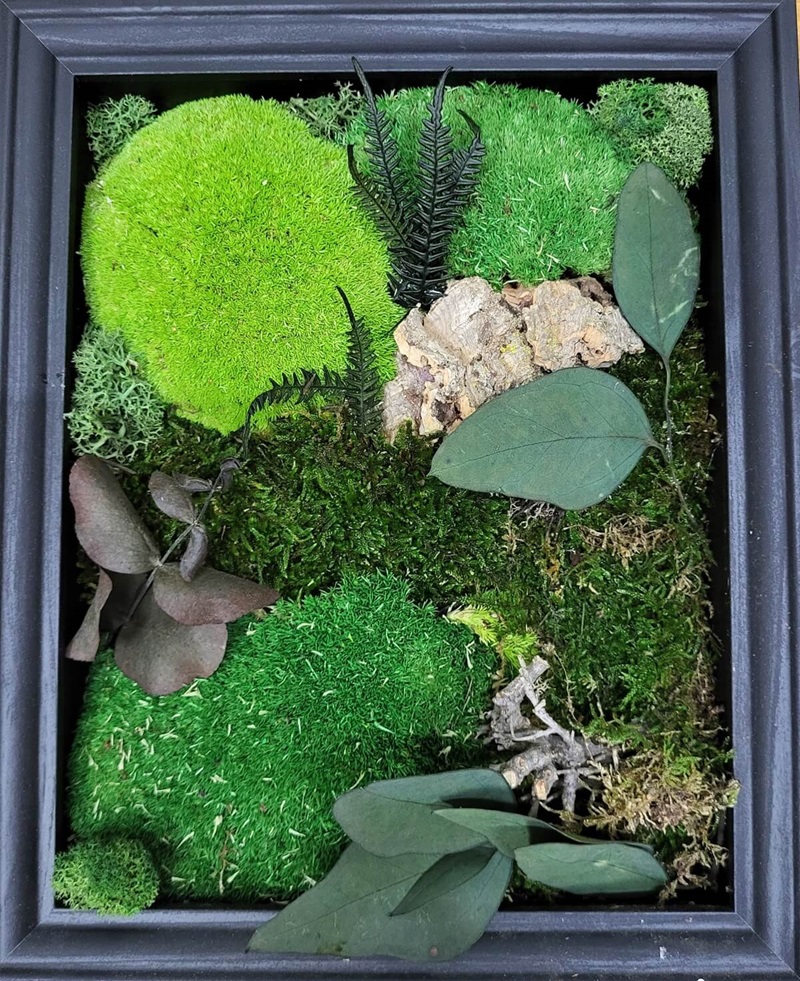 Přečtete si více ze článku MECHOVÉ OBRAZY