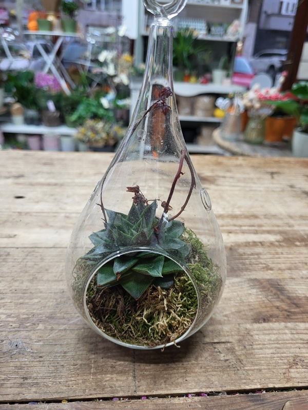 Přečtete si více ze článku AERARIUM