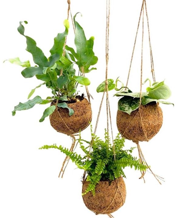 Přečtete si více ze článku KOKODAMY