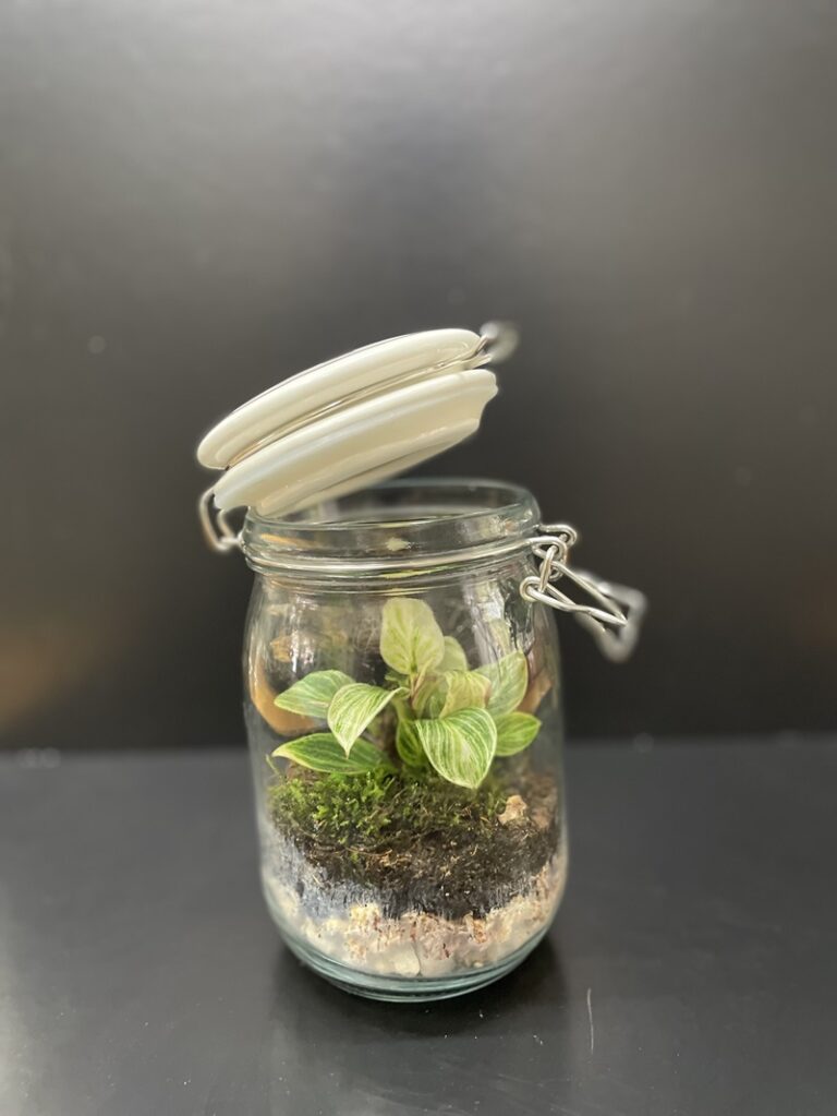 Přečtete si více ze článku MECHARIUM – FLORÁLIUM